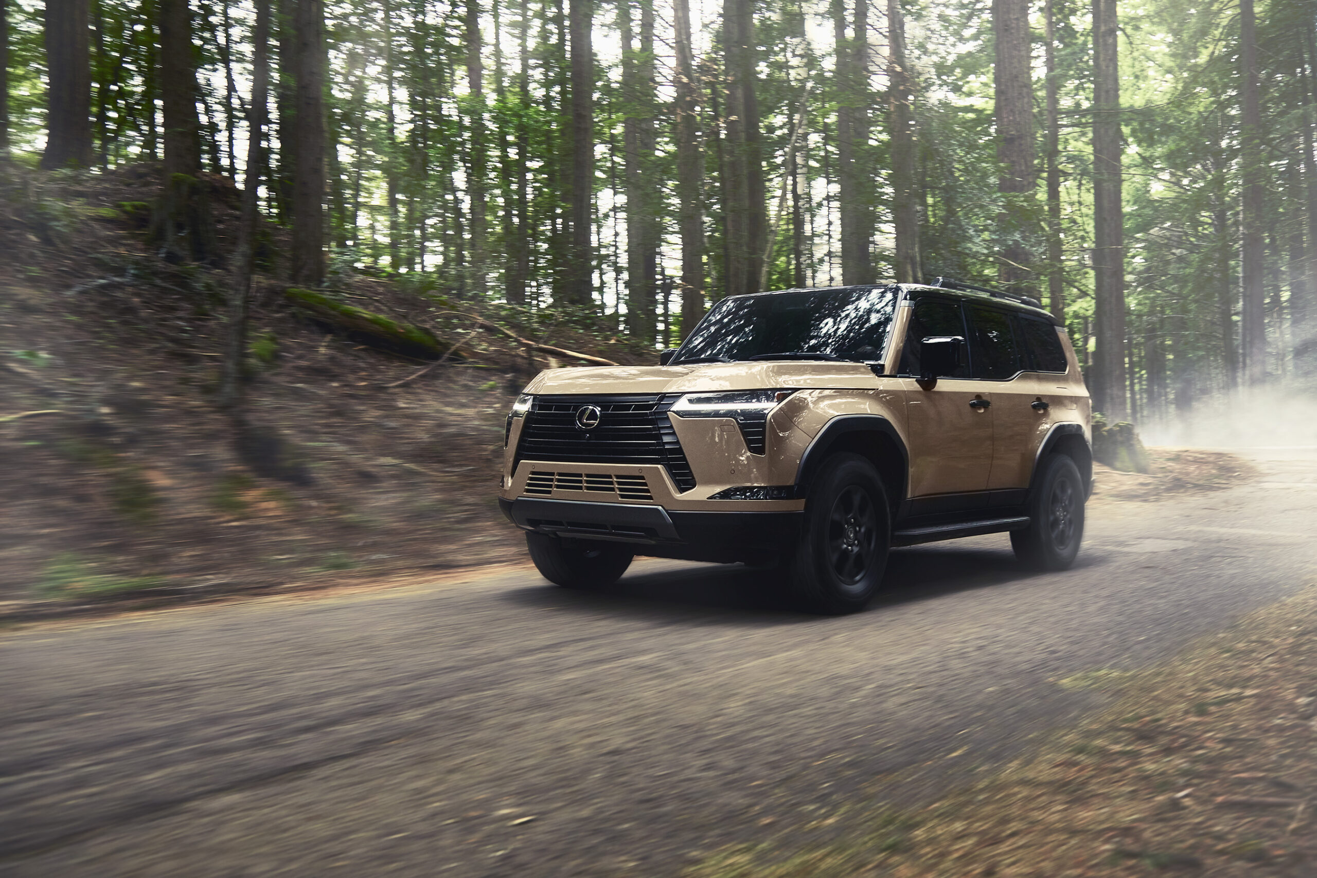 012_060423_LEXUS_9B7A8212