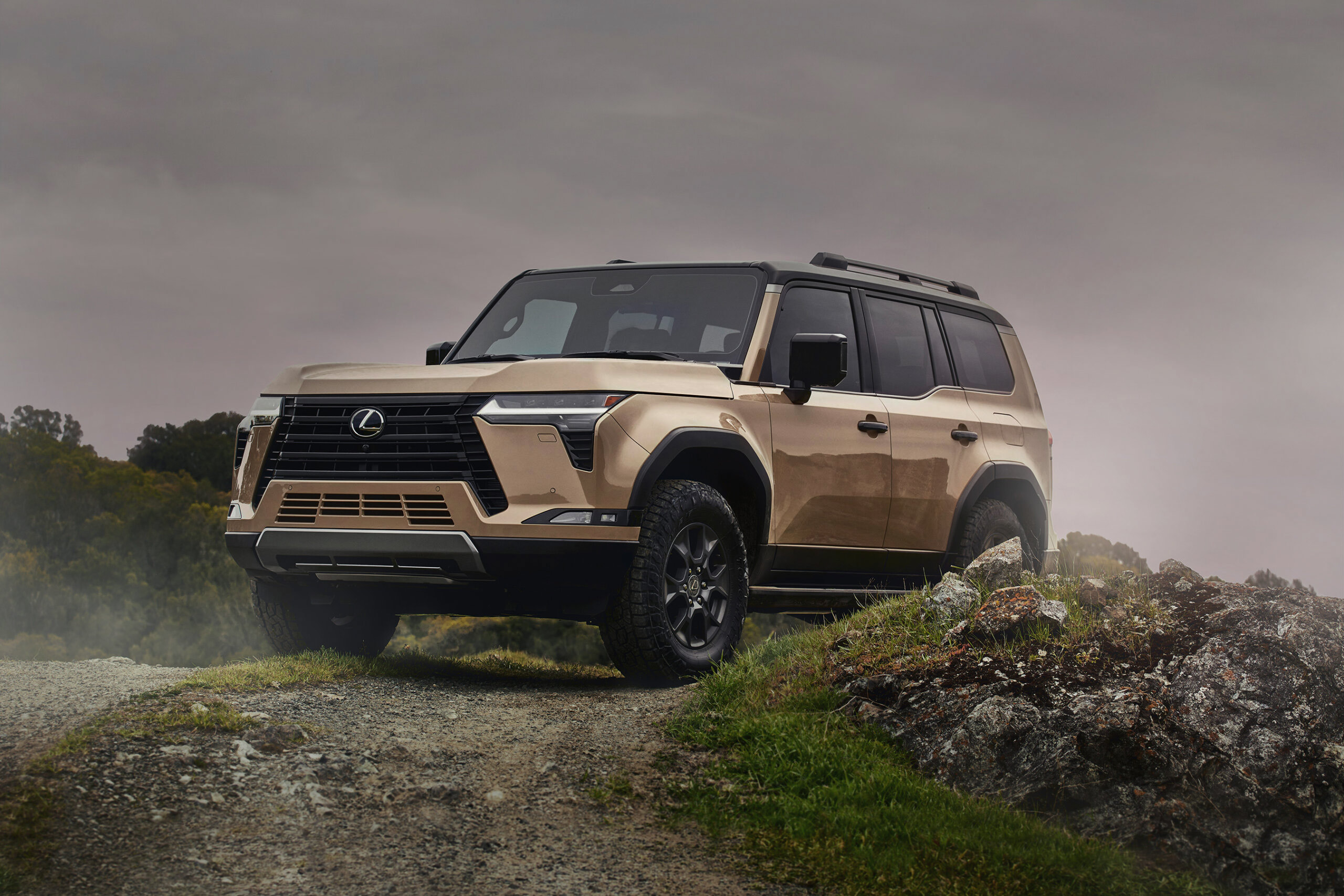 013_060423_LEXUS_9B7A8302-crop-scaled-B 013_060423_LEXUS_9B7A8302-crop-scaled-B